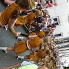 ambiance lm20080035
